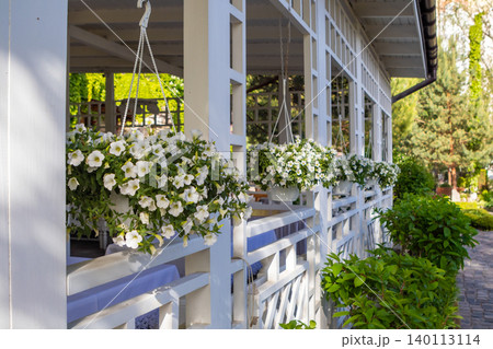 Hanging white petunia baskets on a sunlit porch railing of a charming garden veranda Hanging white petunia baskets on a sunlit porch railing of a charming garden veranda 140113114
