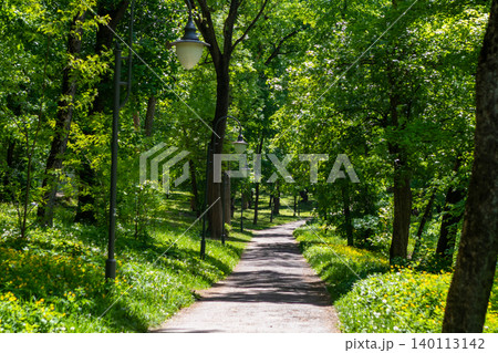 Sunlit park path through green trees with vintage lamp posts and peaceful summer atmosphere Sunlit park path through green trees with vintage lamp posts and peaceful summer atmosphere 140113142