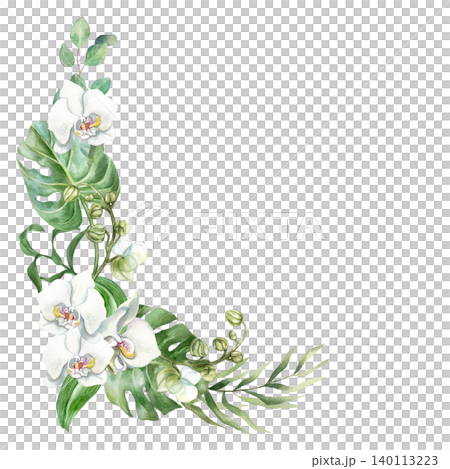 White orchids decorate the side. Delicate flowers and tropical green leaves. Hand drawn watercolor illustration, isolated. Suitable for wedding invitations, cards, spa banners and cosmetic labels 140113223
