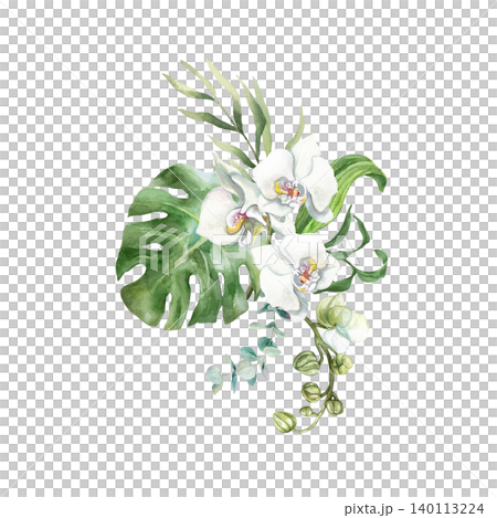White orchid bouquet. Delicate flowers and tropical green leaves. Hand drawn watercolor illustration, isolated. Suitable for wedding invitations, cards, spa banners and cosmetic labels White orchid bouquet. Delicate flowers and tropical green leaves. Hand drawn watercolor illustration, isolated. Suitable for wedding invitations, cards, spa banners and cosmetic labels 140113224
