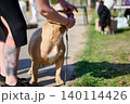 A cheerful dog stands proudly while its owner gently holds its face, enjoying a sunny day at the park filled with lively activities and fellow pet lovers 140114426