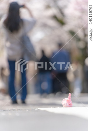 上北沢桜並木に残されたごみ 上北沢桜並木に残されたごみ 140116765