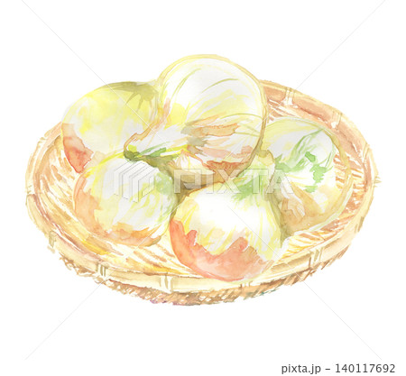 籠に盛られた新玉ねぎの水彩イラスト 140117692