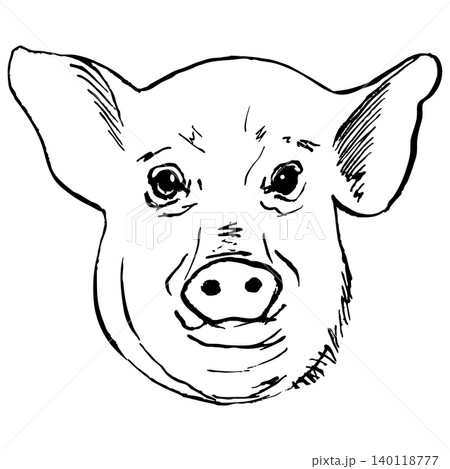 Pig head sketch hand drawn line art engraving. Farm animal hatching vector illustration. For print design 140118777