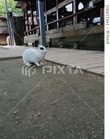 トリアスふれあい動物園の動物達 トリアスふれあい動物園の動物達 140118901