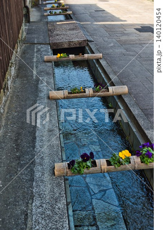 【おはなはん通り】澄んだ水路のお花 140120454