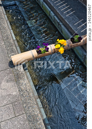 【おはなはん通り】澄んだ水路のお花 【おはなはん通り】澄んだ水路のお花 140120467