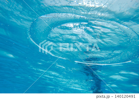 various various 140120491