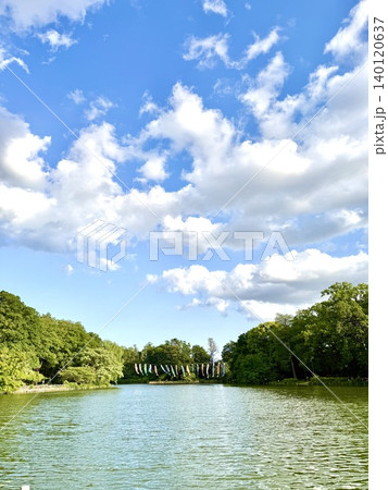 こいのぼりのある新緑の公園の風景 こいのぼりのある新緑の公園の風景 140120637