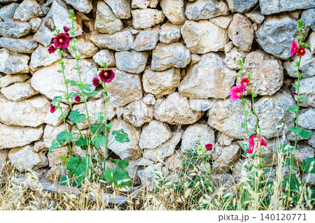 Flowers and stones Flowers and stones 140120771
