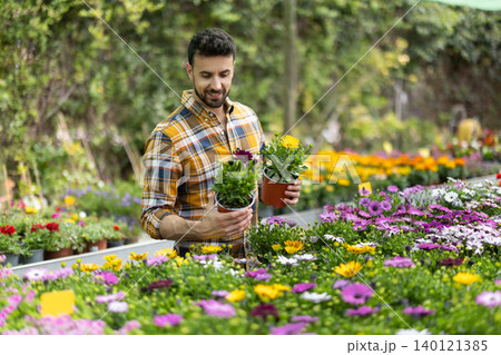 Adult man choosing chrysanthemum shrub in pot at garden center Adult man choosing chrysanthemum shrub in pot at garden center 140121385