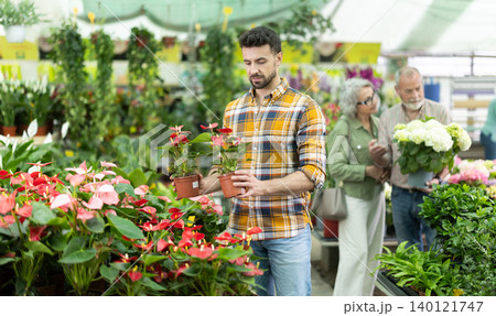 In plant nursery, man buy and purchase anthurium decorative plant in pot In plant nursery, man buy and purchase anthurium decorative plant in pot 140121747