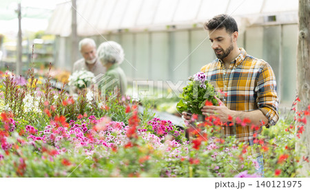 Adult man choosing geranium in pot at garden center 140121975