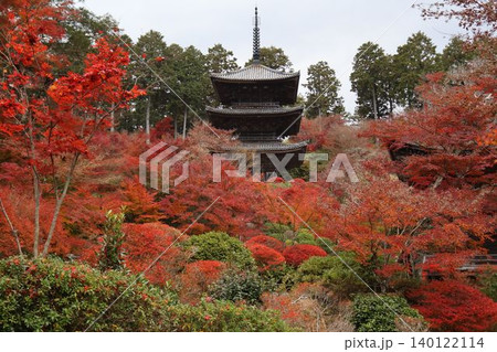 燃ゆる紅葉の海に包まれた常楽寺三重塔の美しい秋景 燃ゆる紅葉の海に包まれた常楽寺三重塔の美しい秋景 140122114