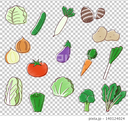 スケッチ風の指定野菜15種類のイラストセット 140124024