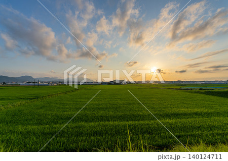 夕暮れの田園風景 夕暮れの田園風景 140124711