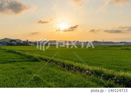 夕暮れの田園風景 夕暮れの田園風景 140124715