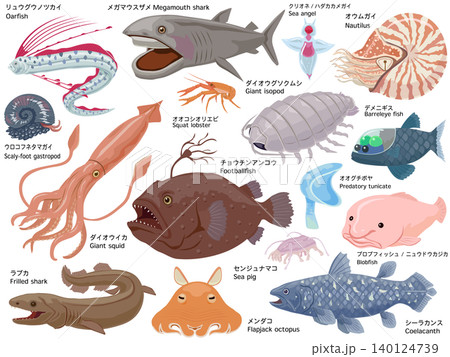 深海生物のイラストセット 深海生物のイラストセット 140124739