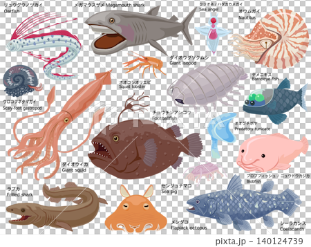 深海生物のイラストセット 深海生物のイラストセット 140124739