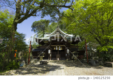 京都　粟田神社の拝殿と新緑 140125250