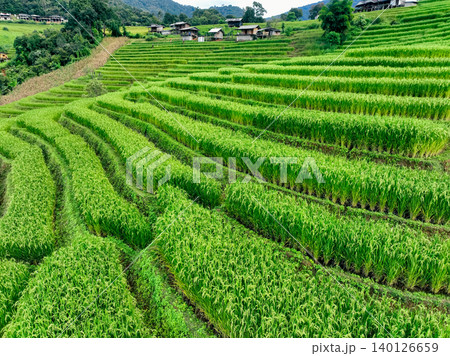 Landscape of green rice terraces and traditional huts in a village near Chiangmai, Thailand. Travel destinations. Beauty of terraced rice fields. Rural life and traditional farming practices in Asia. 140126659
