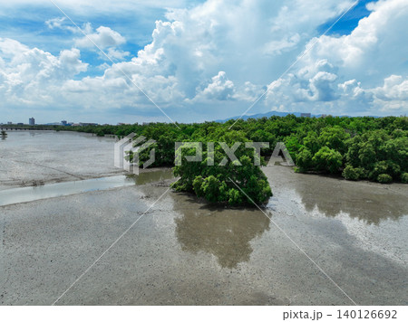 Green mangrove forest landscape. Mangrove ecosystem. Natural carbon sinks. Mangroves capture CO2 from atmosphere. Blue carbon ecosystems. Mangroves absorb carbon dioxide emissions. Biodiversity. Green mangrove forest landscape. Mangrove ecosystem. Natural carbon sinks. Mangroves capture CO2 from atmosphere. Blue carbon ecosystems. Mangroves absorb carbon dioxide emissions. Biodiversity. 140126692