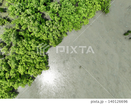 Aerial top view of green mangrove forest. Mangrove ecosystem. Natural carbon sinks. Mangroves capture CO2 from the atmosphere. Blue carbon ecosystems. Mangroves absorb carbon dioxide emissions. Aerial top view of green mangrove forest. Mangrove ecosystem. Natural carbon sinks. Mangroves capture CO2 from the atmosphere. Blue carbon ecosystems. Mangroves absorb carbon dioxide emissions. 140126696