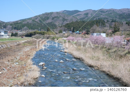 さくら咲く吉和村太田川の景色 140126760