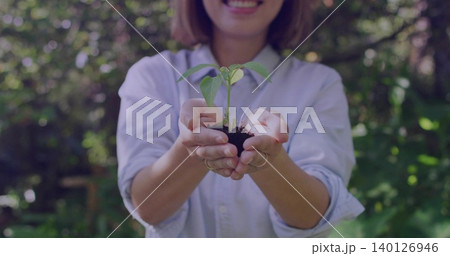 Holding Chinese woman offering seedling in garden, cupped hands holding soil, pale shirt and rings Holding Chinese woman offering seedling in garden, cupped hands holding soil, pale shirt and rings 140126946
