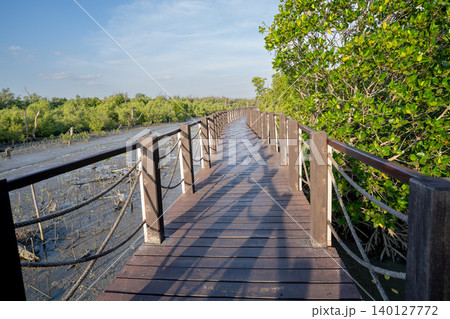 Wooden walkway crossing mangrove forest and muddy wetland. Biodiversity habitat, shoreline conservation, eco friendly tourism, outdoor recreation, and climate resilience in a protected natural area. Wooden walkway crossing mangrove forest and muddy wetland. Biodiversity habitat, shoreline conservation, eco friendly tourism, outdoor recreation, and climate resilience in a protected natural area. 140127772
