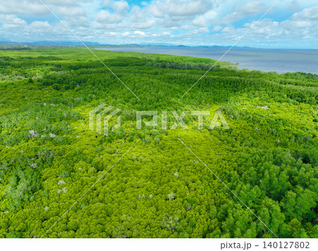 Aerial view green mangrove forest. Carbon storage, climate change mitigation, and conservation of vital marine habitats. Essential for coastal protection, restoration efforts, and blue carbon programs Aerial view green mangrove forest. Carbon storage, climate change mitigation, and conservation of vital marine habitats. Essential for coastal protection, restoration efforts, and blue carbon programs 140127802