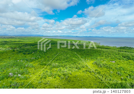 Aerial view green mangrove forest. Natural carbon sinks. Mangroves trees capture CO2. Blue carbon ecosystems. Mangroves absorb carbon dioxide emissions and mitigating global warming. Green ecosystem. Aerial view green mangrove forest. Natural carbon sinks. Mangroves trees capture CO2. Blue carbon ecosystems. Mangroves absorb carbon dioxide emissions and mitigating global warming. Green ecosystem. 140127803