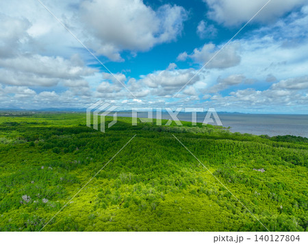 Aerial view mangrove forest ecosystem. Significant economic value in carbon credits, ecosystem services, and climate resilience. Conservation efforts ensure long-term coastal community protection. Aerial view mangrove forest ecosystem. Significant economic value in carbon credits, ecosystem services, and climate resilience. Conservation efforts ensure long-term coastal community protection. 140127804