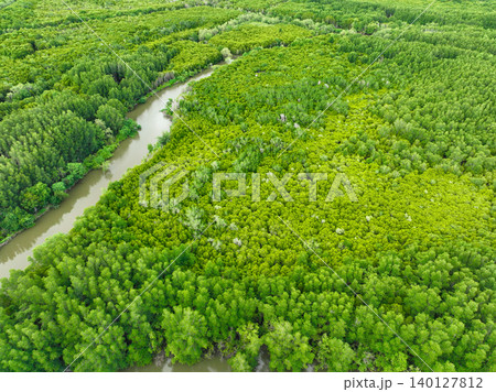 Aerial view mangrove forest ecosystem. Significant economic value in carbon credits, ecosystem services, and climate resilience. Conservation efforts ensure long-term coastal community protection. Aerial view mangrove forest ecosystem. Significant economic value in carbon credits, ecosystem services, and climate resilience. Conservation efforts ensure long-term coastal community protection. 140127812