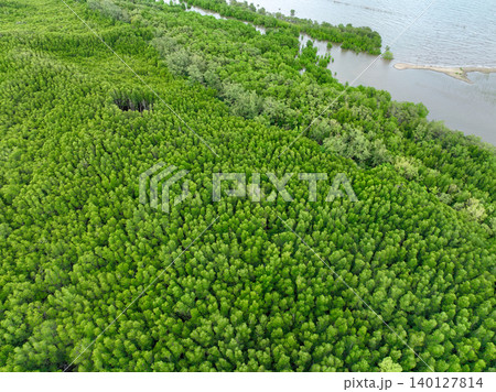 Aerial view mangrove forest ecosystem. Significant economic value in carbon credits, ecosystem services, and climate resilience. Conservation efforts ensure long-term coastal community protection. 140127814