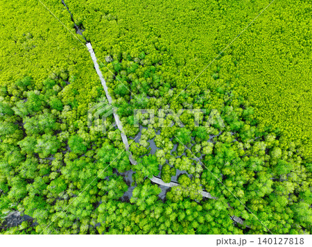Aerial view lush green mangrove forest. Wooden bridges for natural trails, highlighting ecotourism opportunities, carbon capture benefits, and vital role mangroves play in combating climate change. Aerial view lush green mangrove forest. Wooden bridges for natural trails, highlighting ecotourism opportunities, carbon capture benefits, and vital role mangroves play in combating climate change. 140127818