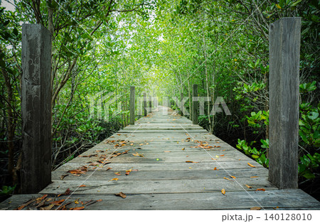Wooden walkway through mangrove forest. Natural carbon sink and sustainable ecosystems. Climate change awareness. Environmental sustainability. Eco-friendly travel. Environmental conservation. 140128010