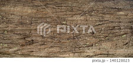 Close-up old tree bark. Natural patterns and rough texture. Organic material ideal for eco-friendly design projects emphasizing sustainability and carbon neutrality. Backdrop for eco-conscious project 140128023