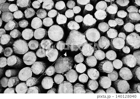 Stacked wooden logs from certified sustainable forest. Responsible timber management, renewable resources, and eco-conscious production within circular economy and forestry conservation system. Stacked wooden logs from certified sustainable forest. Responsible timber management, renewable resources, and eco-conscious production within circular economy and forestry conservation system. 140128040