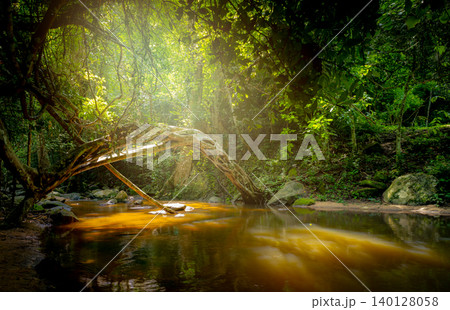 Tropical forest river with golden sunlight filtering through dense jungle canopy, flowing stream and ancient tree roots. Ecosystem balance. Biodiversity conservation. Sustainable natural ecosystem. Tropical forest river with golden sunlight filtering through dense jungle canopy, flowing stream and ancient tree roots. Ecosystem balance. Biodiversity conservation. Sustainable natural ecosystem. 140128058