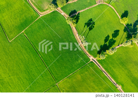 Aerial view of lush green rice field with small winding canal. Sustainable agriculture landscape. Sustainable rice farming. Rice cultivation. Green landscape. Organic farming. Sustainable land use. Aerial view of lush green rice field with small winding canal. Sustainable agriculture landscape. Sustainable rice farming. Rice cultivation. Green landscape. Organic farming. Sustainable land use. 140128141