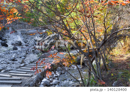 草津温泉　西の河原公園　美しい紅葉（群馬県吾妻郡草津町） 140128400