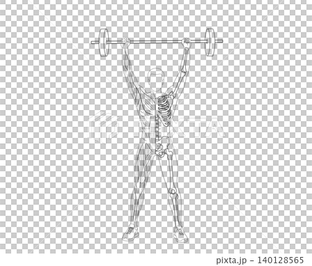 Anatomy illustration of a man lifting a barbell overhead, showing split views of muscular system and skeletal structure isolated on clean white background Anatomy illustration of a man lifting a barbell overhead, showing split views of muscular system and skeletal structure isolated on clean white background 140128565