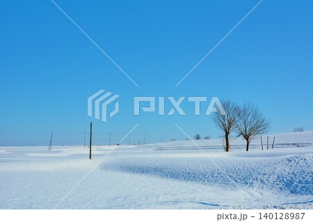 雪峠・雪原風景 雪峠・雪原風景 140128987