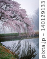 朝霧に包まれる「芳水の桜」(福島県福島市松川町、4月) 140129133