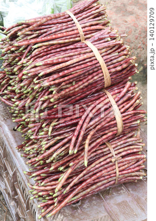 yardlong bean stock on shop for sell 140129709