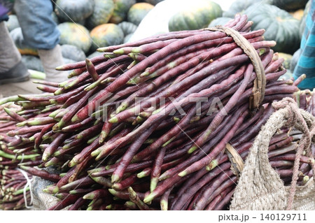yardlong bean stock on shop for sell 140129711