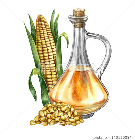 Corn oil. Hand-drawn watercolor illustration. A whole corn cob, a bottle of oil, and a pile of seeds. Perfect for labels and packaging, as well as menus, banners, posters, and more. Corn oil. Hand-drawn watercolor illustration. A whole corn cob, a bottle of oil, and a pile of seeds. Perfect for labels and packaging, as well as menus, banners, posters, and more. 140130054