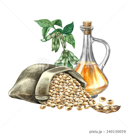 Soybean oil. Glass bottle, soybeans in a burlap bag, and a soybean stalk with pods. Hand-drawn watercolor illustration. For menus, recipes, and cookbooks. For banners, packaging, labels, and more. 140130059