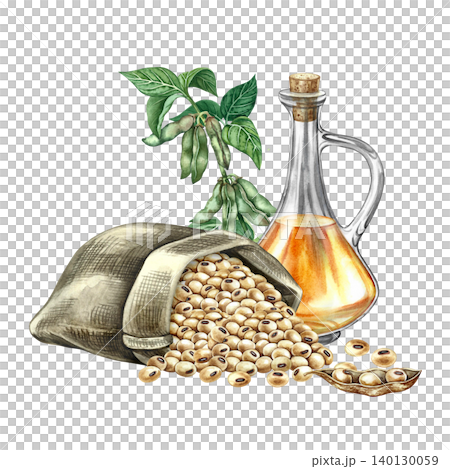 Soybean oil. Glass bottle, soybeans in a burlap bag, and a soybean stalk with pods. Hand-drawn watercolor illustration. For menus, recipes, and cookbooks. For banners, packaging, labels, and more. 140130059